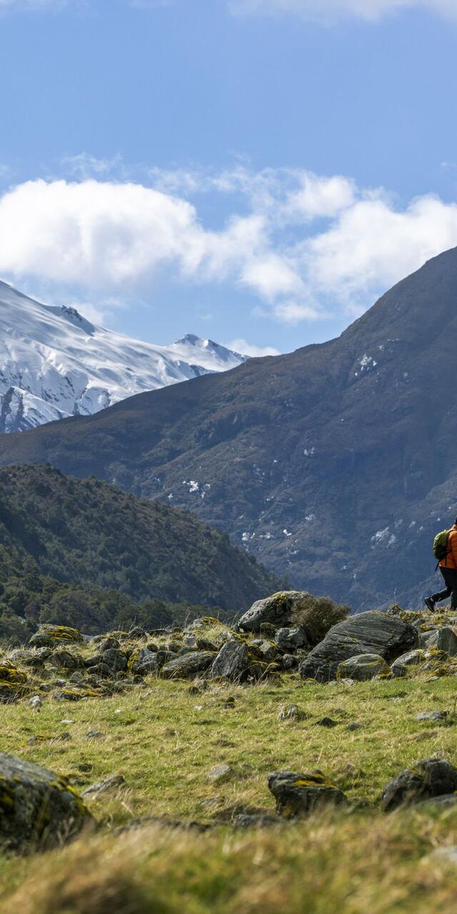 Matukituki Valley, Otago
