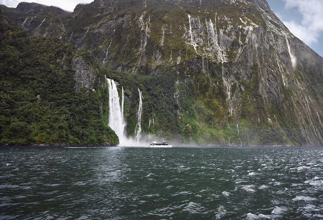 Experience New Zealand's unique nature and wildlife. Go whale watching or explore the unspoiled landscape. Discover more now.