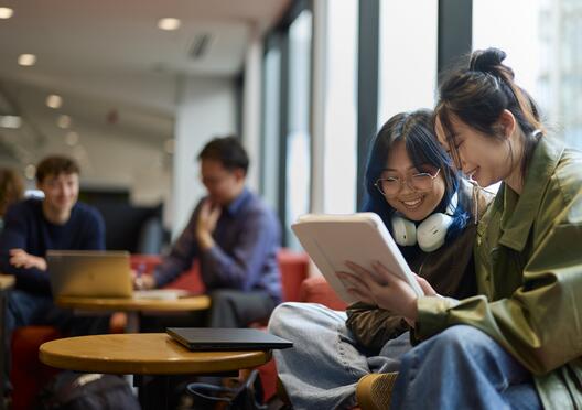 Study with New Zealand