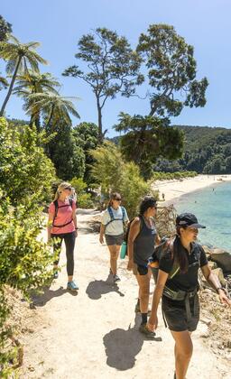 Wilson’s Walk, Abel Tasman National Park