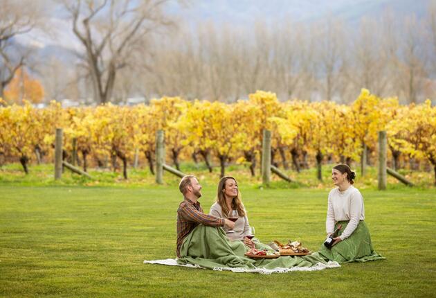 Long famed for its sauvignon blanc, Marlborough is now winning hearts and palates for its elegant pinot noir and intense chardonnay. 