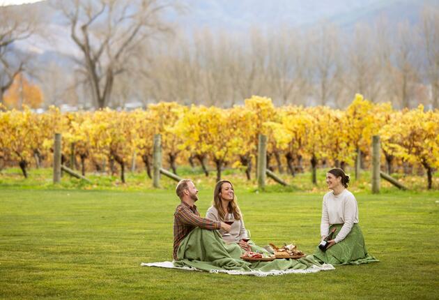Long famed for its sauvignon blanc, Marlborough is now winning hearts and palates for its elegant pinot noir and intense chardonnay. 