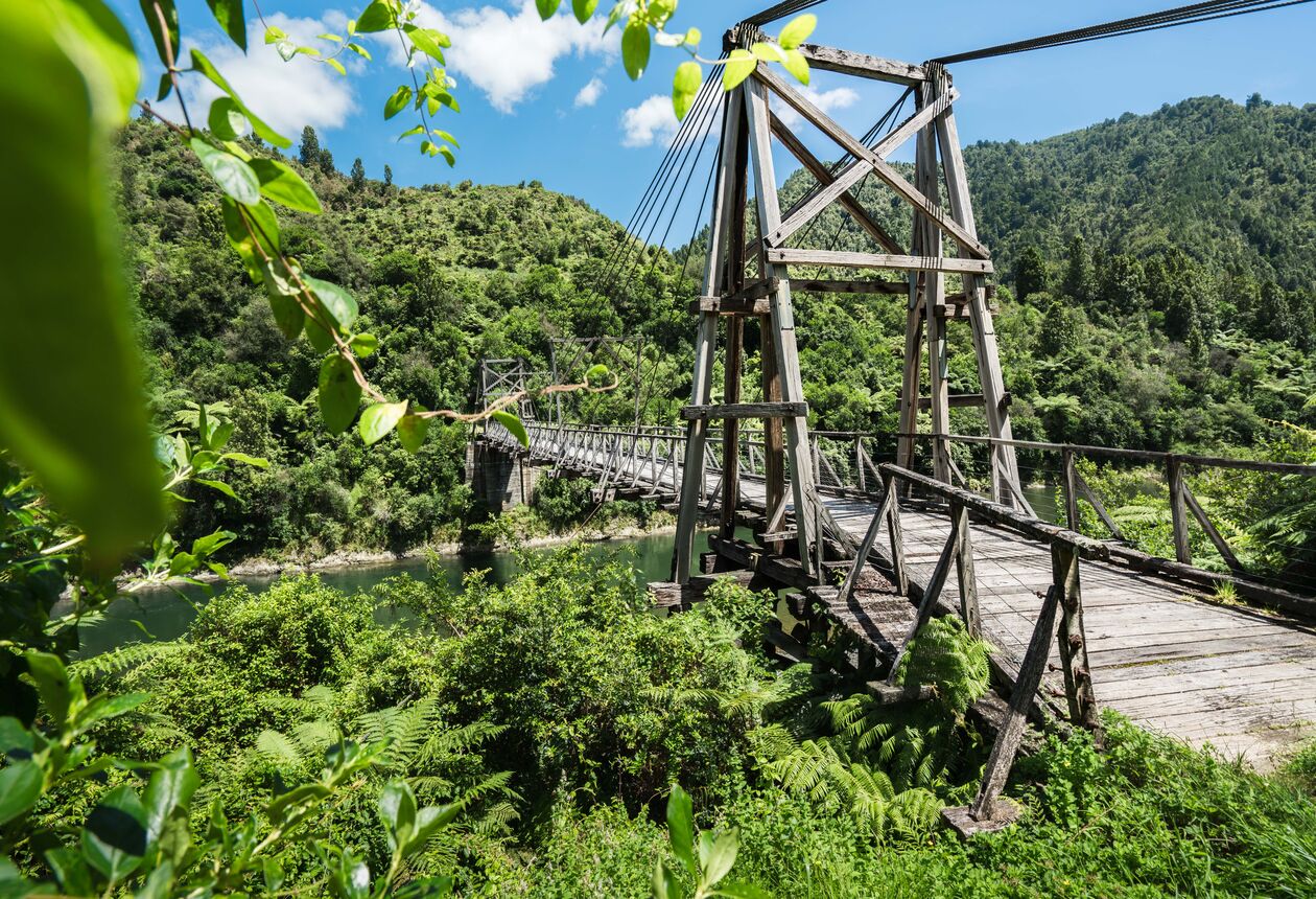 Enjoy the great outdoors at the Waioeka Gorge Scenic Reserve, a peaceful forest paradise between Ōpōtiki and Gisborne.