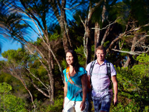 Exploring on foot allows you to discover the lush native bush and wildlife of the Waitakere Ranges.