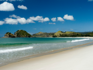 Spazieren Sie über den weißen Sand des wunderschönen Kaitoke Beach, der an der Ostküste des Great Barrier Island gelegen ist.