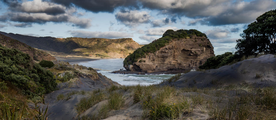 Discover the rugged beauty of Auckland&#039;s West Coast.