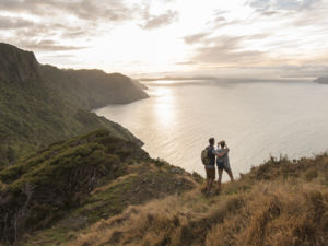Bei einem Tagesausflug von Auckland aus entdecken Sie die überwältigende Kulisse bei den Manukau Heads.
