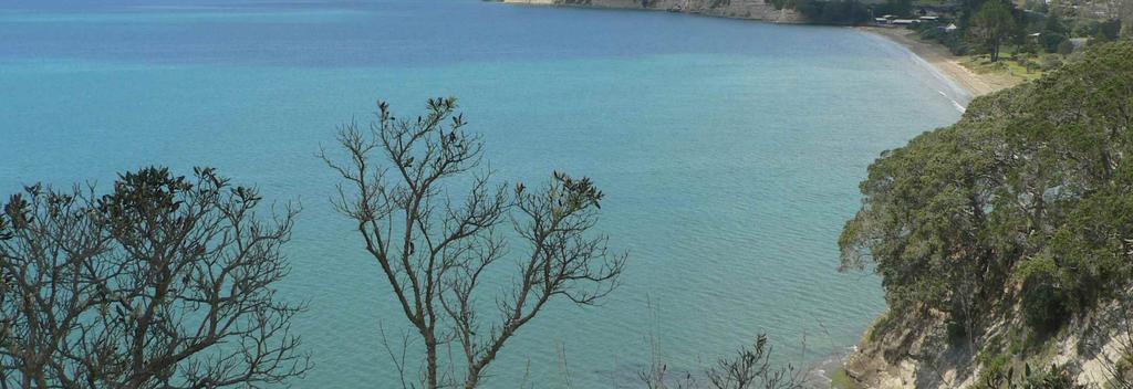 View from the cliff alongside Long Bay beach. Close to Auckland central, North Shore beaches are the perfect day trip