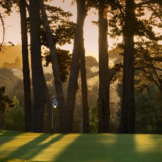 Established in 1931, the parkland-style Remuera Golf Club has a rich tradition of offering a magnificent experience.