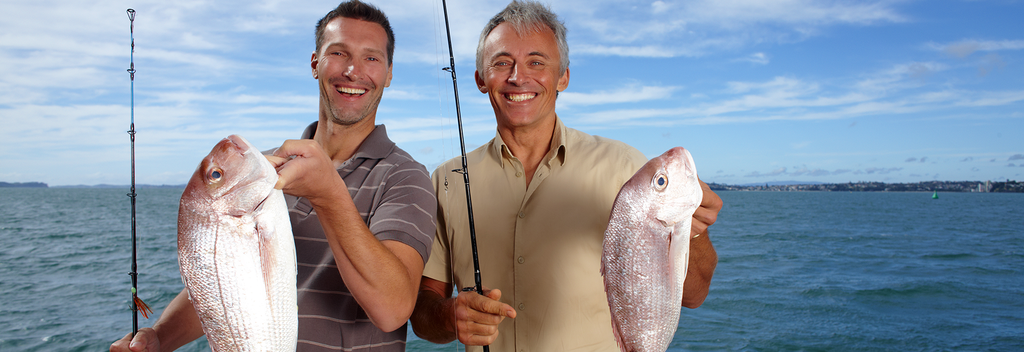 Snapper is a delicious eating fish and is commonly caught in the Hauraki Gulf.