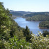 Cossey/Massey loop - Hunua ranges.