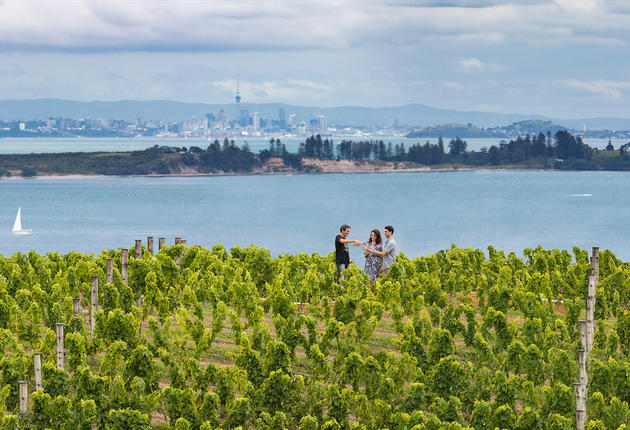 Waiheke, nur 40 Minuten mit der Fähre vom Zentrum Aucklands entfernt, ist ein Paradies mit wunderschönen Weinbergen, Olivenhainen und Stränden.