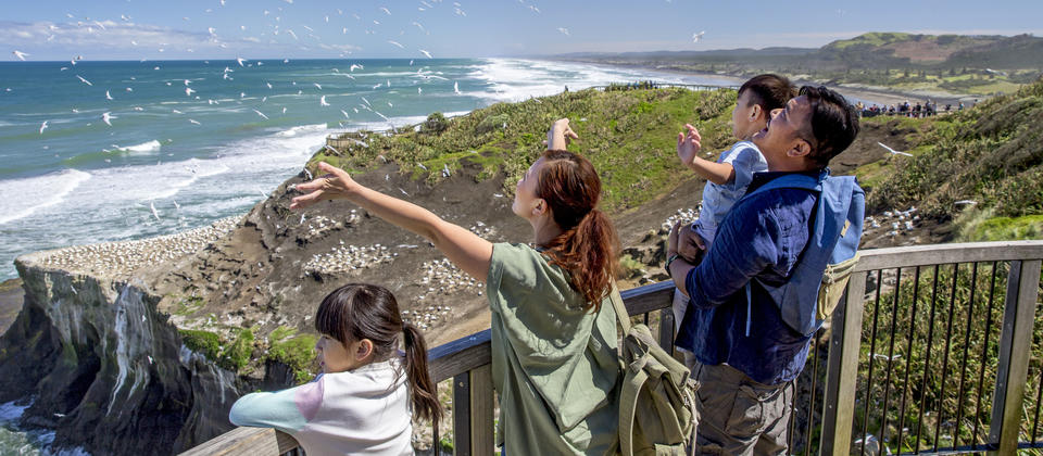 Windswept Muriwai beach is renowned for its spectacular surf and huge gannet colonies.