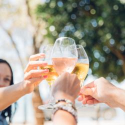 Man O&#039; War vineyard 