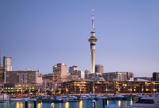 Auckland’s restaurants are all about quality ingredients and the incredible people that bring them to life.