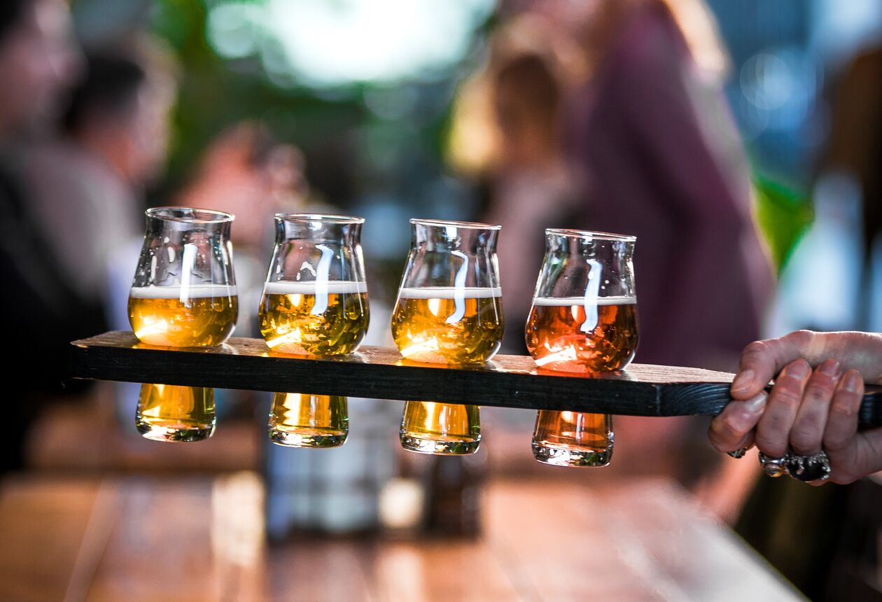 Everything you need to know about drinking beer in New Zealand, from the best craft brewery experiences to beer festivals and events. Find out where to start.
