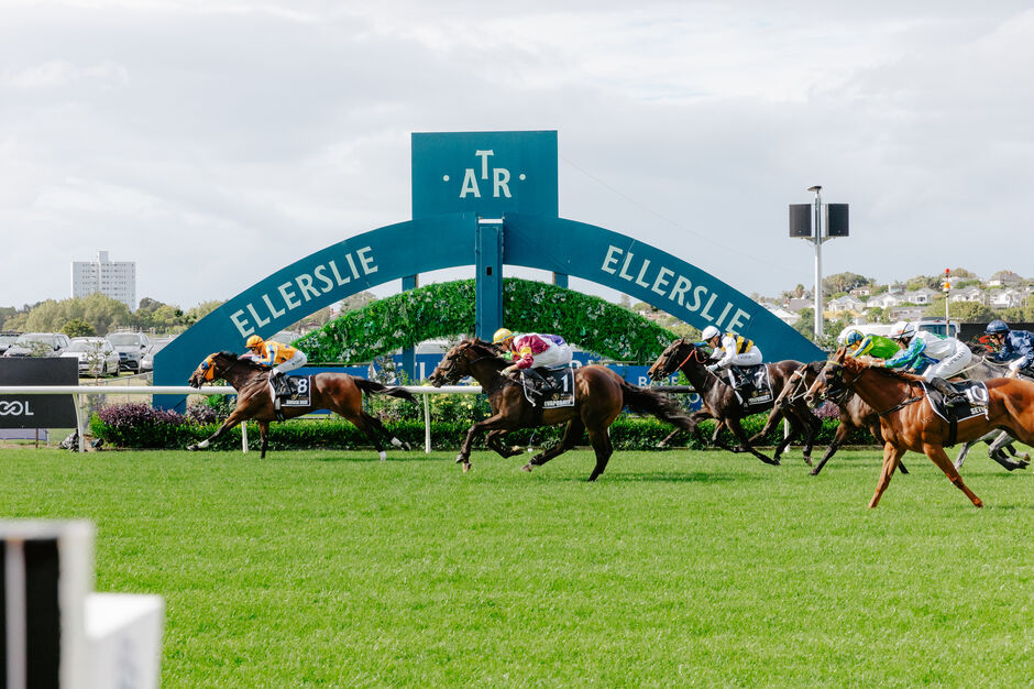 Champions Day, Ellerslie Racecourse