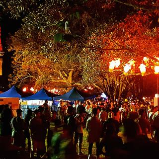 Von Festivals zu Konzerten und bunten Pubs - erlebe das Beste von Aucklands Nachtleben.