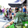 Every Saturday morning, Auckland's top growers meet at Britomart to sell their fresh produce at the City Farmers' Market.