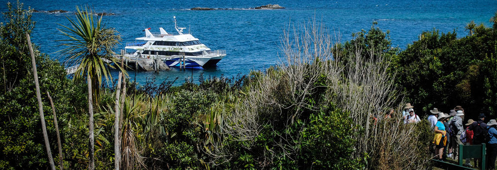 360 Discovery Cruises ferry to Tiritiri Matangi Island