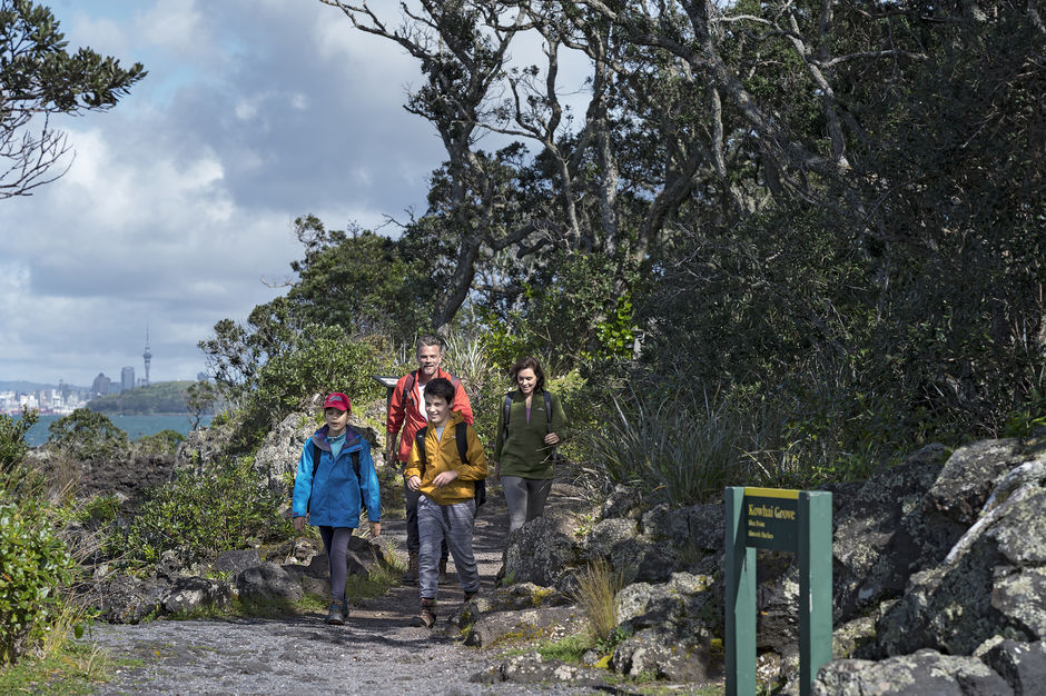 Rangitoto Summit Track
