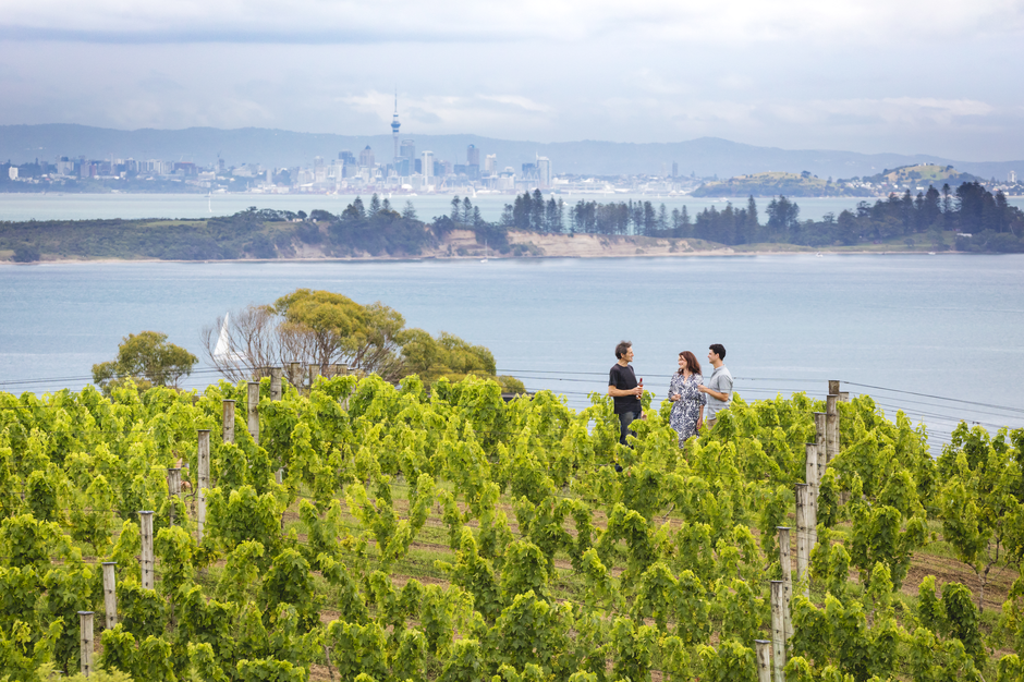 Waiheke ist nur 35 Minuten mit der Fähre von Auckland entfernt, aber mit seinen Weingütern, Olivenhainen und Sandstränden eine ganz andere Welt.