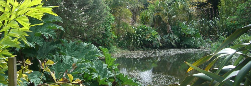 The Botanic Gardens in Auckland