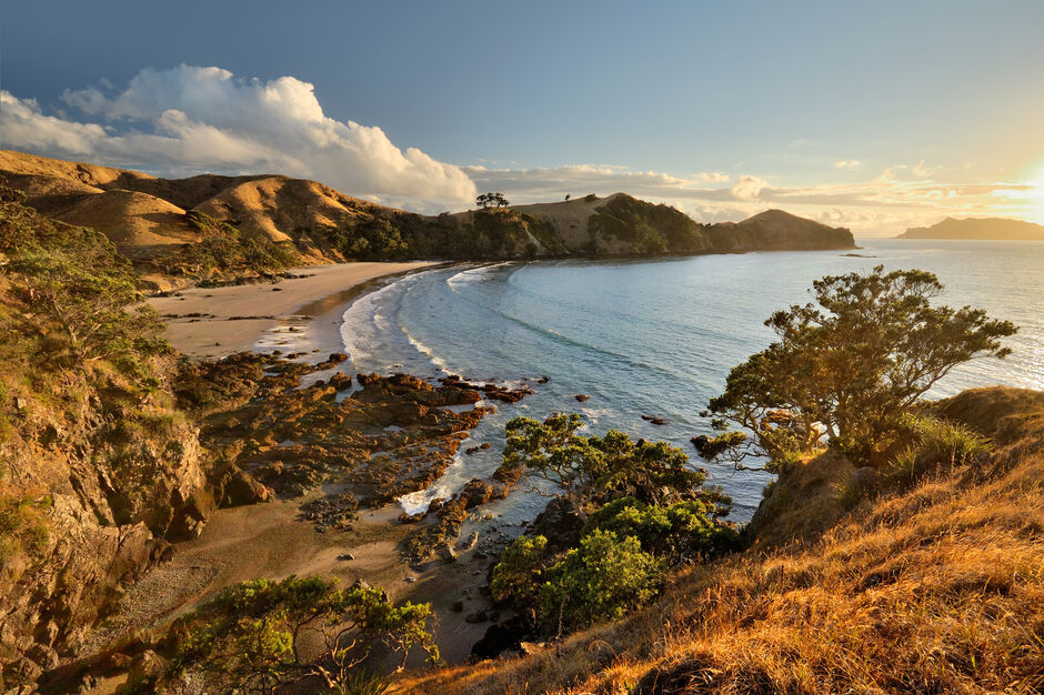 Great Barrier Island is full of spectacular natural scenery