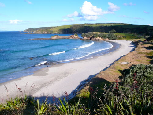 Tāwharanui Regional Park
