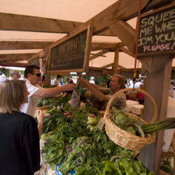 Held every Saturday morning in Matakana (Auckland), this is the place to try delights such as organic spiced hot chocolate and Puhoi cheese.