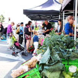 Every Saturday morning, Auckland&#039;s top growers meet at Britomart to sell their fresh produce at the City Farmers&#039; Market.