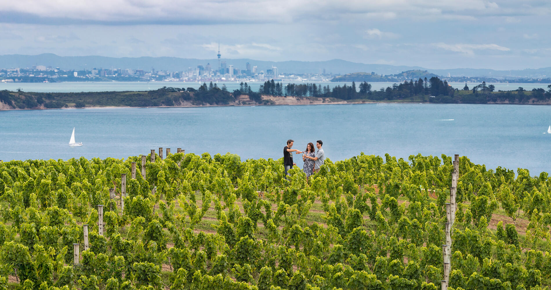 Waiheke Island