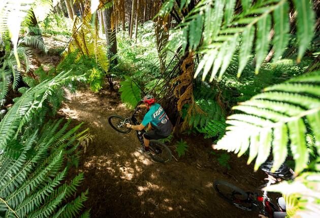 Auckland's only gravity mountain bike park with epic purpose built trails all accessed via our shuttle vehicles.