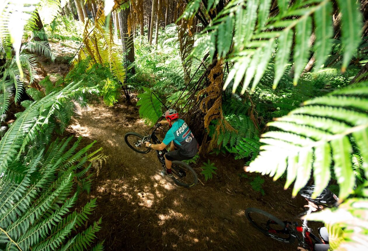 Auckland's only gravity mountain bike park with epic purpose built trails all accessed via our shuttle vehicles.