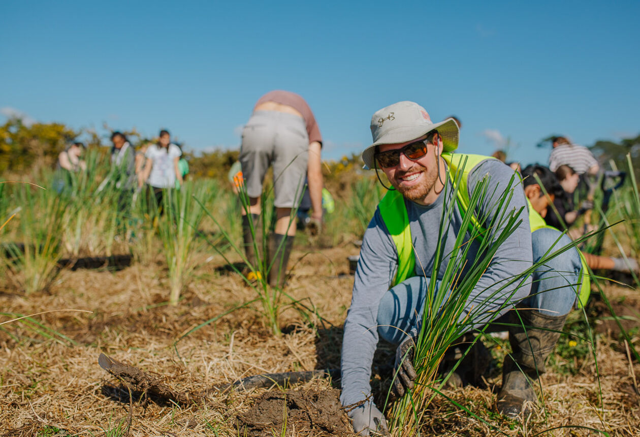 IVHQ New Zealand offers unique and affordable volunteer programs with a focus on NGO Support, Coastline Conservation and Education and Freshwater Restoration and Education.