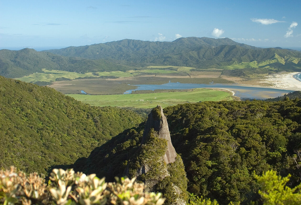 Auf der wunderschönen Great-Barrier-Insel finden Sie unberührte Strände, heimisches Buschland und einige seltene Vogel- und Eidechsenarten.