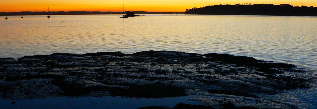 怀特马塔港（Waitemata Harbour）的落日是不容错过的景观之一。