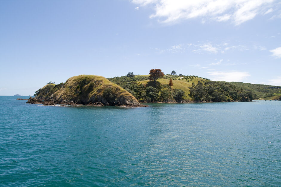 The reserve is located at the far south-east corner of Waiheke Island and can be accessed by land and sea. By land, access is via Orapiu Road, which skirts around the head of Te Matuku Bay and continues out to Orapiu Bay.