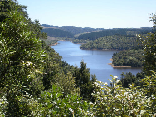 Cossey/Massey loop - Hunua ranges.