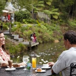 Matakana Farmers Market