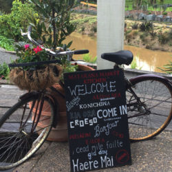 Matakana Farmers Market