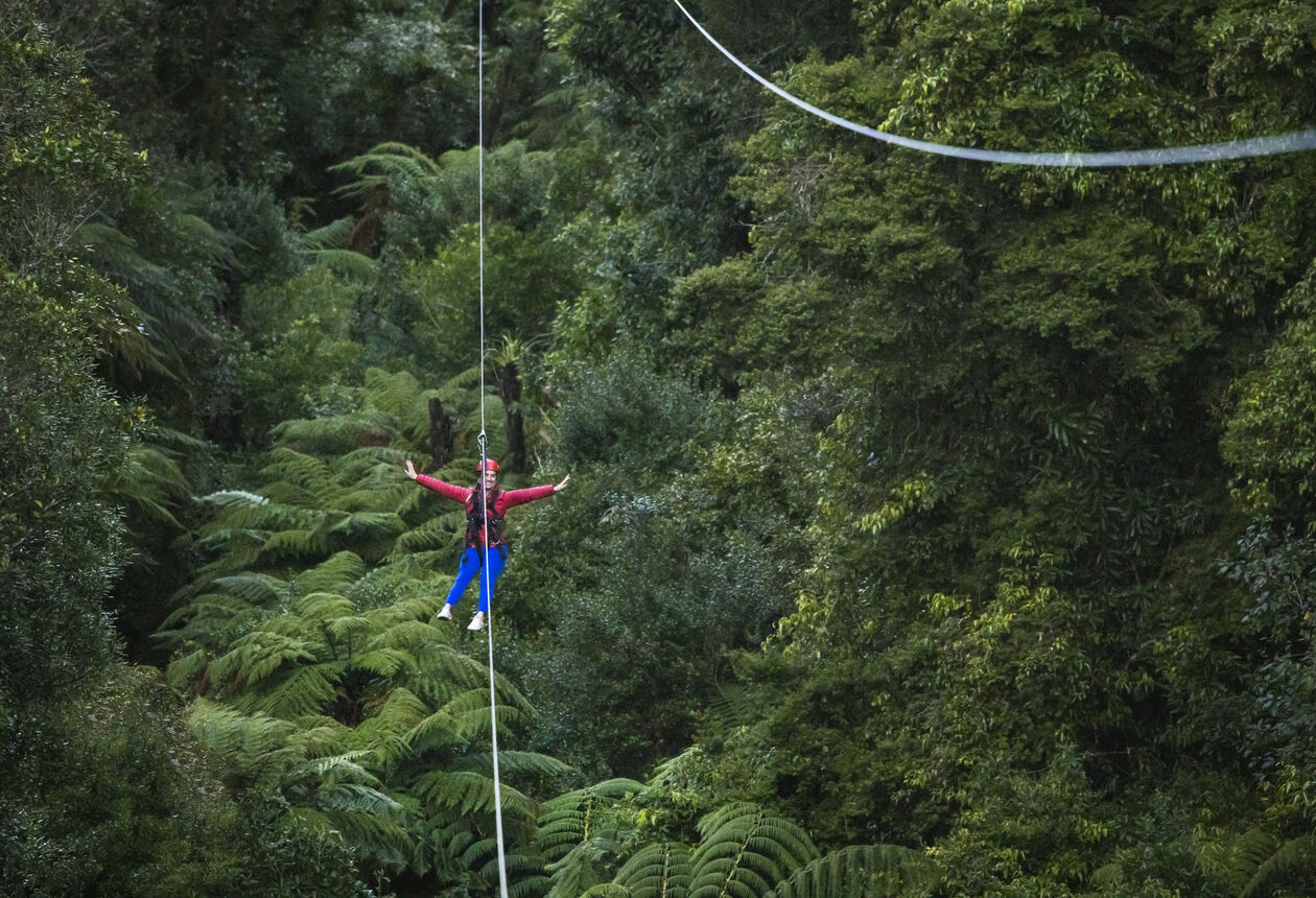 Discover the top 10 things to do in Aotearoa New Zealand during spring, including must-visit festivals, wildlife tours, scenic gardens, glaciers and more.