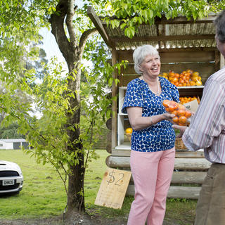 The Bay of Plenty region is known for its top-notch growing conditions. Meet the growers, and taste delicious oranges, avocados and kiwifruit.