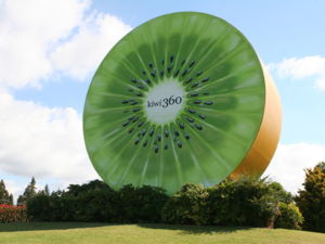 Learn how kiwifruit is farmed and exported and sample different varieties at Kiwi 360.