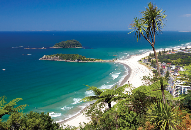 Where New Zealand's orchard industry meets the coast. Highlights include seaside towns Tauranga and Mount Maunganui. Find out more. 