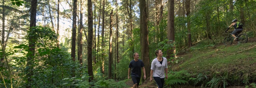Get close to nature in the Bay of Plenty