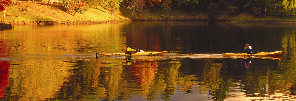 マックレーン湖では、静かな小川や緑深い森、鳥たちの姿など見ながらカヤックを漕ぎましょう。