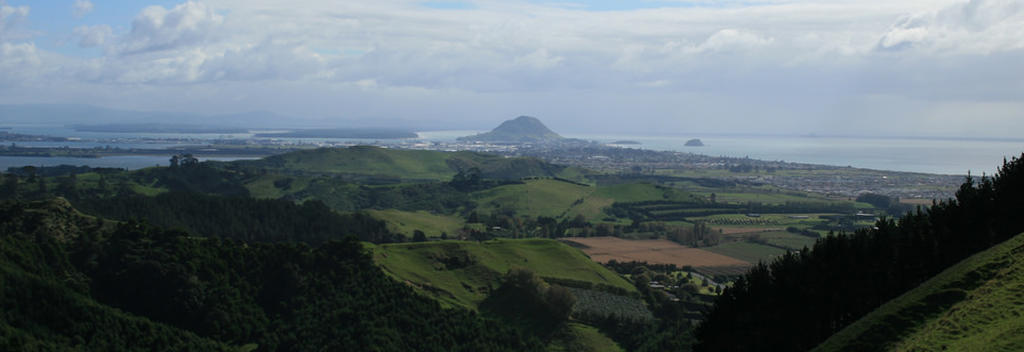 View from Papamoa Hills hike