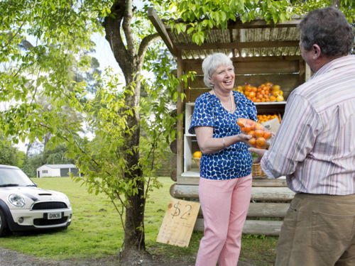 The Bay of Plenty region is known for its top-notch growing conditions. Meet the growers, and taste delicious oranges, avocados and kiwifruit.