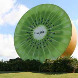 Learn how kiwifruit is farmed and exported and sample different varieties at Kiwi 360.